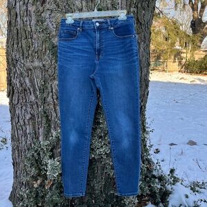 Everlane Curvy High Rise Skinny Jean